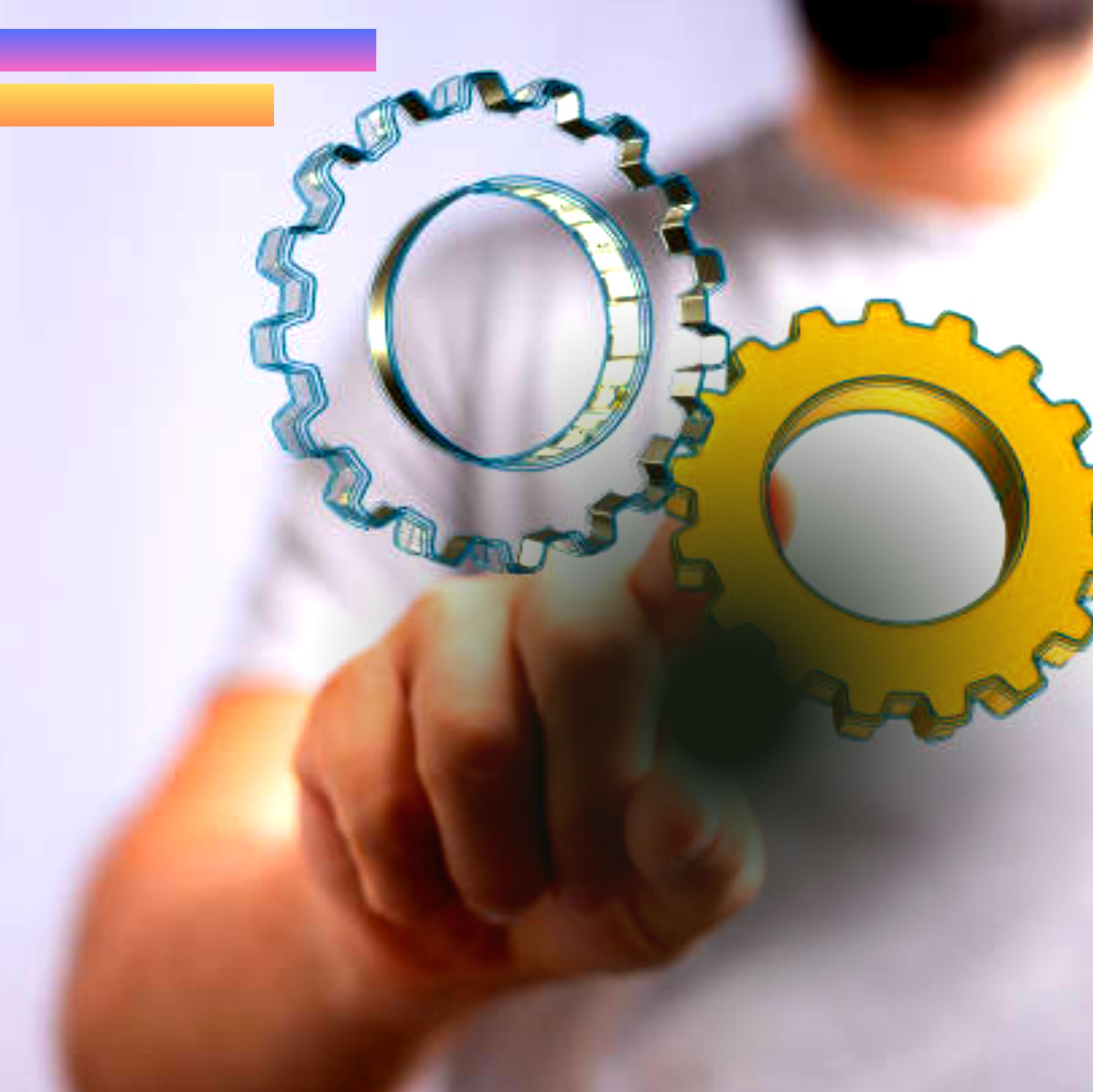 What type of life insurance do you need?